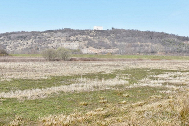 Terreno agricolo