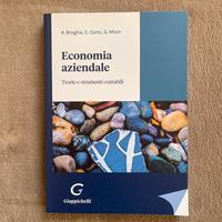 Economia aziendale: Teorie e strumenti contabili