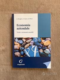 Economia aziendale: Teorie e strumenti contabili
