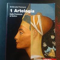 Zanichelli arteologia vol 1 nuovo