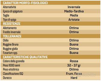 Semi di grano, NO USO ALIMENTARE, SOLO SEMINA