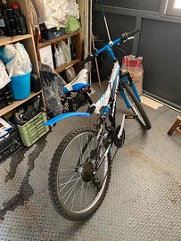 Bicicletta