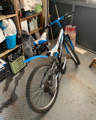 Bicicletta
