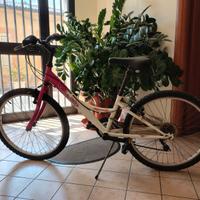 Bicicletta Mountain bike