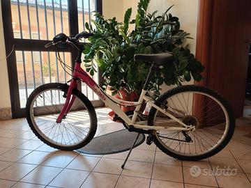 Bicicletta Mountain bike