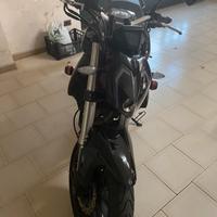 Benelli bn 302 s 2019