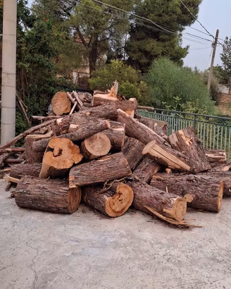 legna intera