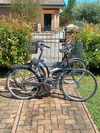 Biciclette tipo olandese