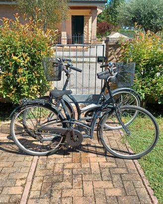 Biciclette tipo olandese