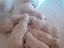 Immagine 3
