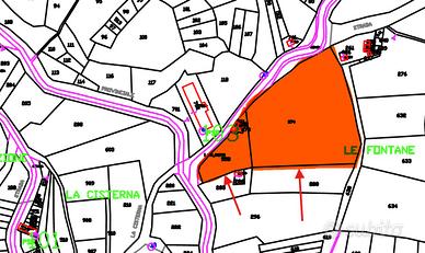 Terreno agricolo con rustico