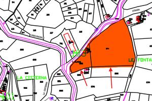 Terreno agricolo con rustico