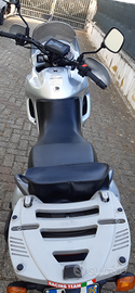 Aprilia Pegaso cube