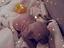 Immagine 6