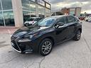 lexus-nx-hybrid-business