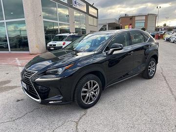 Lexus NX Hybrid Business