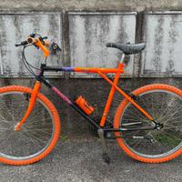 Bianchi Ragno Meta arancione