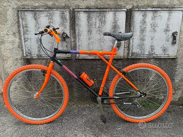 Bianchi Ragno Meta arancione