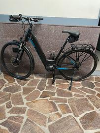 Bici elettrica