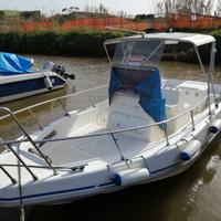 Barca natante mister-1 con motore diesel bmw 175cv