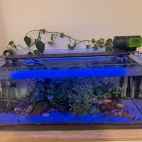 Acquario 80x35x35