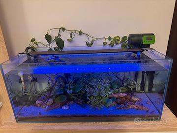 Acquario 80x35x35