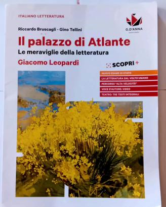 Libri di letteratura italiana (raccolta)