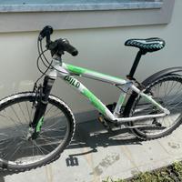 Mountain bike da ragazzo. Ruote 24