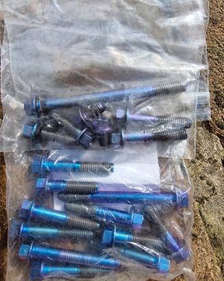 Viti in titanio PROBOLT aprilia Dorsoduro