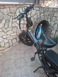 bicicletta elettrica