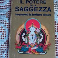 Il potere della saggezza Insegnamenti del Buddhism