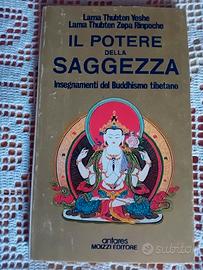 Il potere della saggezza Insegnamenti del Buddhism