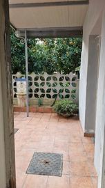 Ampio appartamento con terrazzo