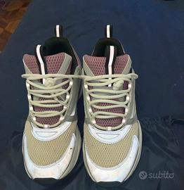 dior b22
