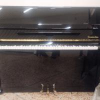 Pianoforte Steingraeber 116 tedesco con trasporto