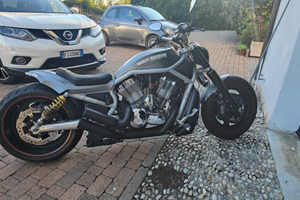 Harley davidson molto bella