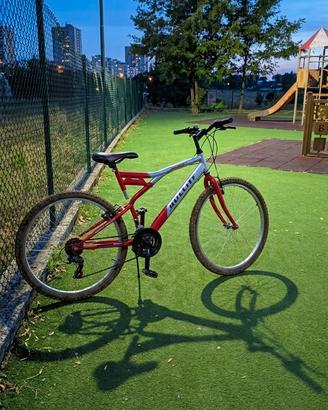 bicicletta 