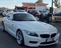 bmw-z4-m-sdrive23i