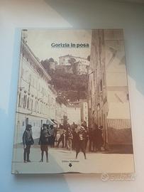 Libro,…GORIZIA IN POSA