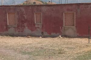 Vendita casa + terreno