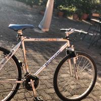 Bici bianchi