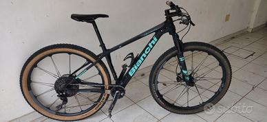 Bianchi Methanol sx