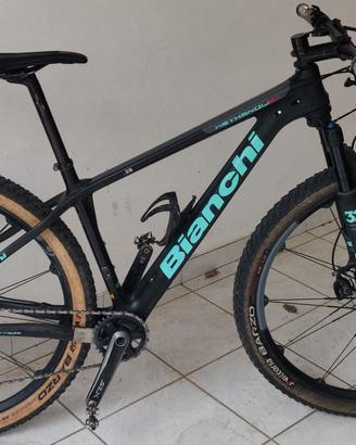 Bianchi Methanol sx