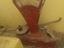 Immagine 2