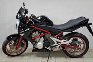 Kawasaki ER 6N