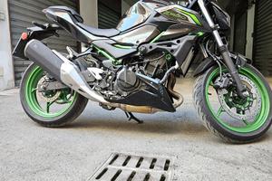 Kawasaki z500