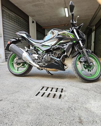 Kawasaki z500