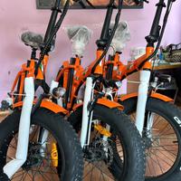 Fat Bike 20 pighevole