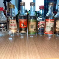 Mignon Vodka lotto da 7 pz