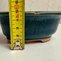 Vaso per Bonsai